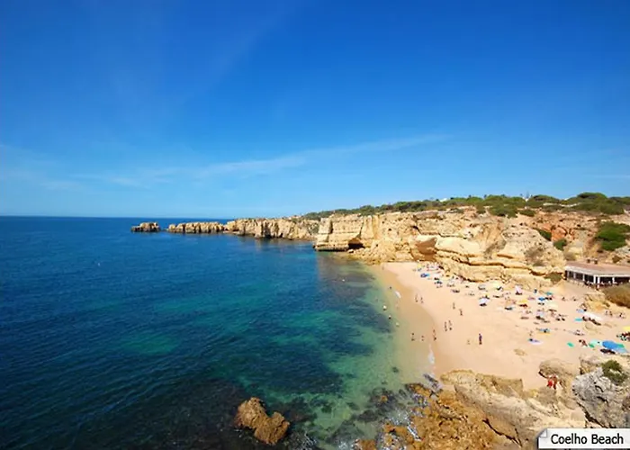 Coelho * البوفيرا